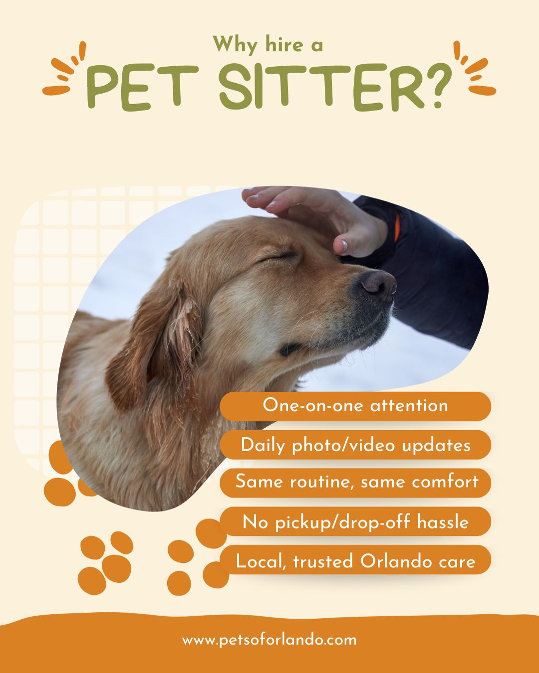 Why choose an in-home pet sitter?
Because pets feel safest in their own space 🏡💛
With Pets of Orlando, your pets stay comfortable, calm, and on their normal routine — while you get daily photos and updates.
Travel with peace of mind, knowing your babies are in loving hands.
#TravelWithEase #PetCareOrlando #PetSitterBenefits