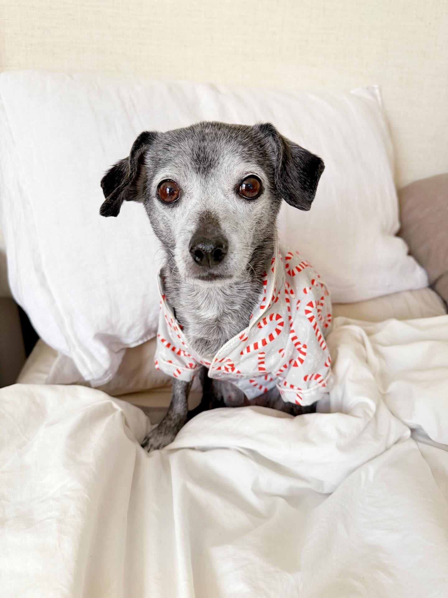 Beginning of 2025 ➡️ end of 2025