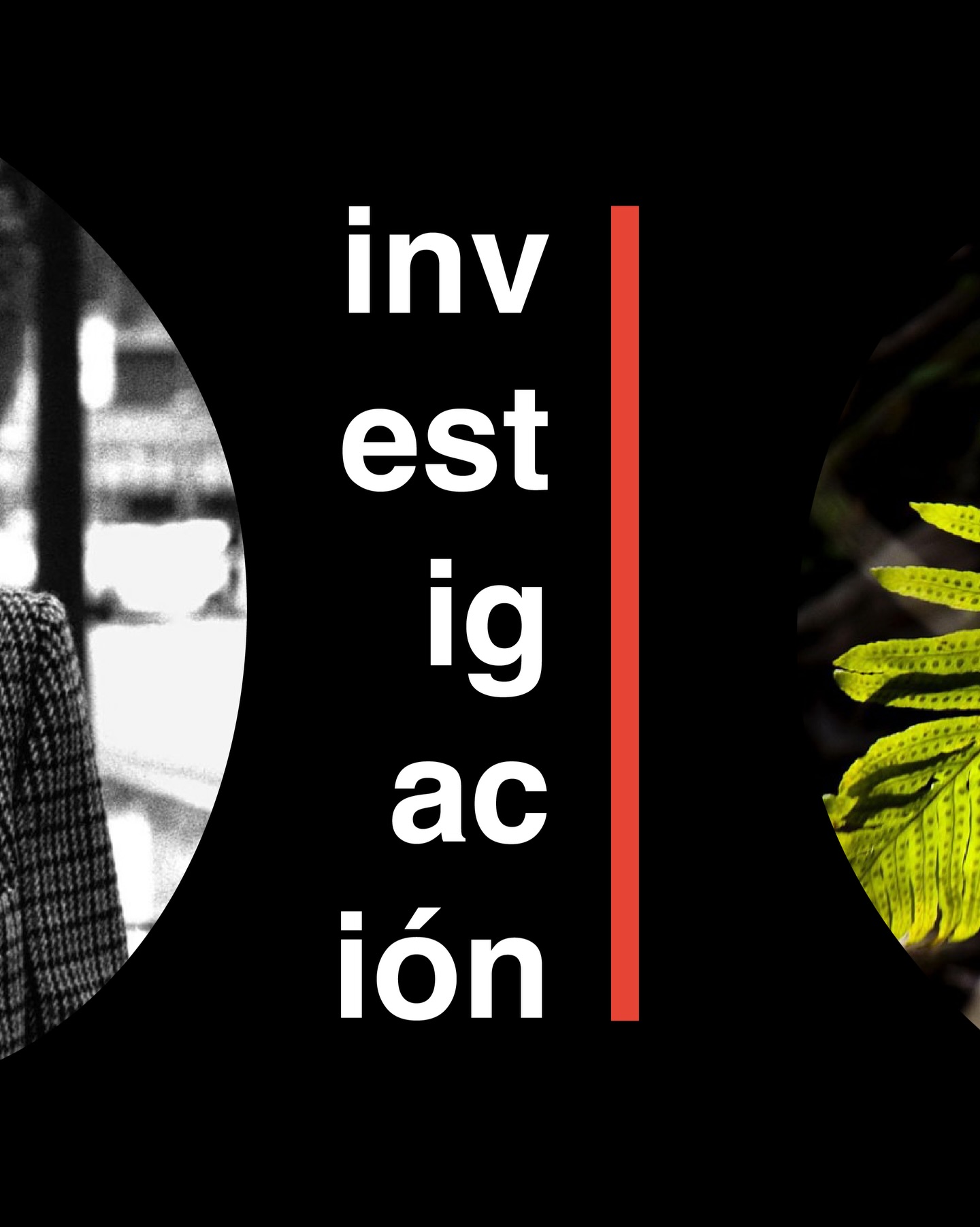 La sección de Investigación de este número 13 #DETERIOROS es protagonizada por los trabajos de Antonella De Sena y Paul Montjoy Forti. 📖
📕 Antonella De Sena
Università di Napoli L’Orientale
“Narrativa y justicia ambiental: la eco-conciencia en el Capitaloceno a través de El Calentamiento Global de Daniel Ruiz García”, pp. 23-43.
“En las décadas de 1960 y 1970, España experimentó una importante transición hacia la democracia, acompañada de una creciente conciencia ecológica y de movimientos sociales que ponían de relieve las injusticias medioambientales y sociales. Este artículo pretende explorar cómo la literatura, en particular a través de novelas como 𝘌𝘭 𝘊𝘢𝘭𝘦𝘯𝘵𝘢𝘮𝘪𝘦𝘯𝘵𝘰 𝘎𝘭𝘰𝘣𝘢𝘭 (2019) de Daniel Ruiz García, contribuyó a conformar esta conciencia ecológica, abordando las interconexiones entre capitalismo extractivo, desigualdades sociales y crisis medioambiental.”
📗 Paul Montjoy Forti
Rutgers University, New Brunswick
“De la ciudad utópica a la ciudad distópica en Primera muerte de María de Jorge Eduardo Eielson”, pp. 44-62.
“Poco estudiada ha sido la narrativa del poeta Jorge Eduardo Eielson, uno de los principales poetas peruanos de la Generación del 50. El autor escribió dos novelas (𝘌𝘭 𝘤𝘶𝘦𝘳𝘱𝘰 𝘥𝘦 𝘎𝘪𝘶𝘭𝘪𝘢-𝘯𝘰 y 𝘗𝘳𝘪𝘮𝘦𝘳𝘢 𝘮𝘶𝘦𝘳𝘵𝘦 𝘥𝘦 𝘔𝘢𝘳í𝘢) que pocas veces se han reeditado y no se han analizado académicamente, salvo de manera muy general y en conjunto con sus demás escritos. Este trabajo analiza la novela 𝘗𝘳𝘪𝘮𝘦𝘳𝘢 𝘮𝘶𝘦𝘳𝘵𝘦 𝘥𝘦 𝘔𝘢𝘳í𝘢, publicada en la década de los ochenta, desde la perspectiva de la construcción narrativa de la ciudad de Lima.”
Muchas gracias a ambos por su trabajo e inestimable colaboración.
Podéis leer los trabajos de investigación completos a través del enlace de nuestra bio o en nuestra página web 🚀 www.revistaimpetu.org
#RevistaIMPETU #LiteraturaEspañola #literatura #arteespañol #revistadeliteratura #ecoconciencia #eduardoeielson