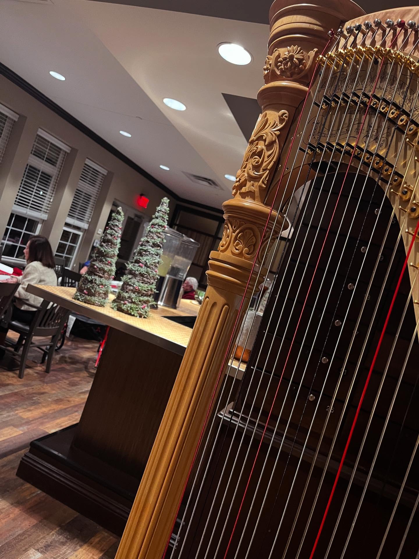 A lovely evening playing harp for the holiday dinner at Wesley Woods tonight! 🎄
The room was warm, festive, and filled with the sweetest people.
Thank you for having me, Wesley Woods! It was an honor to be part of your beautiful holiday tradition. 🎶
#Harpist #HolidayParty #LiveMusic #ColumbusHarpist #HarpMusic #EventMusician #ChristmasMusic #WesleyWoods #HarpLife #ElegantEvents #tiffanyharpist