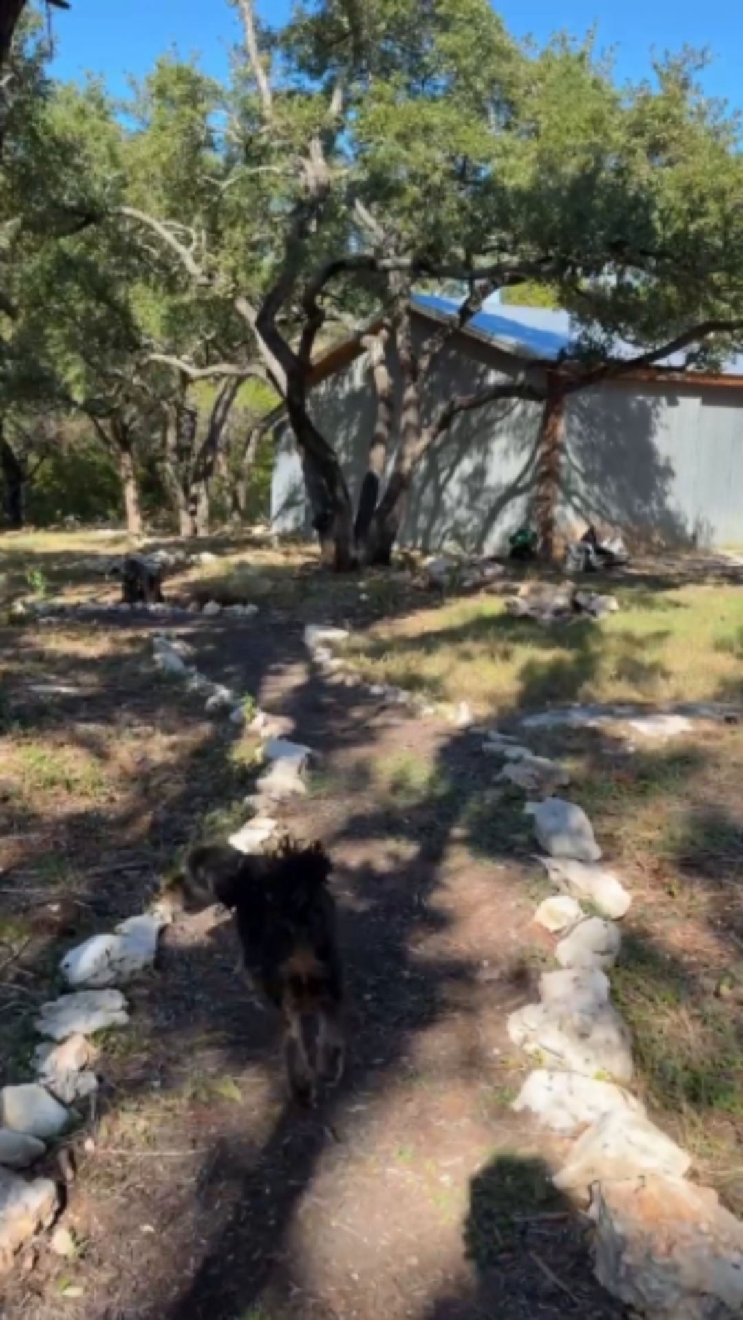 The magic of country living in the city. A serene, meditative escape awaits this family every day, with each corner thoughtfully designed, and plenty of spots made for gathering and entertaining.