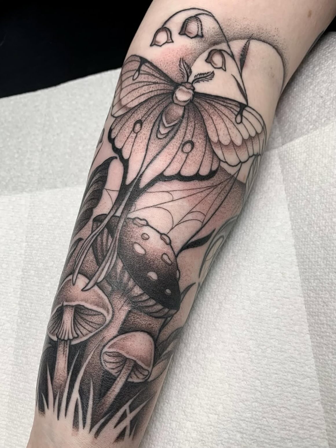 Mushroom and moth piece from @renisanartist !! 🍄🦋🍄🟫
#ironwoodink #blackandgraytattoos #mothtattoo #mushroomtattoos #omahatattooshop #omaha #omahanebraska #nebraska #omahatattoos #blackandgraytattoo #midwesttattoo #midwesttattooer #tattoostyle #tattoos #tattoo #gettattooed