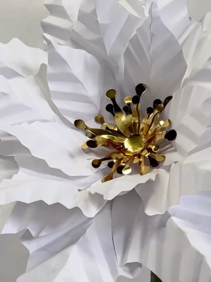 This holiday and Small Business Weekend, I found myself on a whole new whirlwind—welcoming our little one into the world! Between the ups and downs of breastfeeding and an unexpected overnight NICU stay for our baby (we’re ok for now though there’s still one more blood draw for his bili 💛), things have been extra chaotic around here.
Today, I’m catching up on earring orders and updating inventory—and tomorrow, we’re celebrating Cyber Monday with a big earring sale on our website!
Our paper flower templates are also on sale at dwblooms.com and in our Etsy shop.
I truly hope you’ll consider supporting our small business—it means a lot, especially during times like these. Thank you for being here and for every bit of encouragement along the way. 💝
#smallbusinesssupport #cybermondaysale #paperflowers