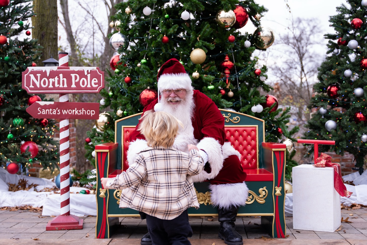 thetaylorgroup.theagency