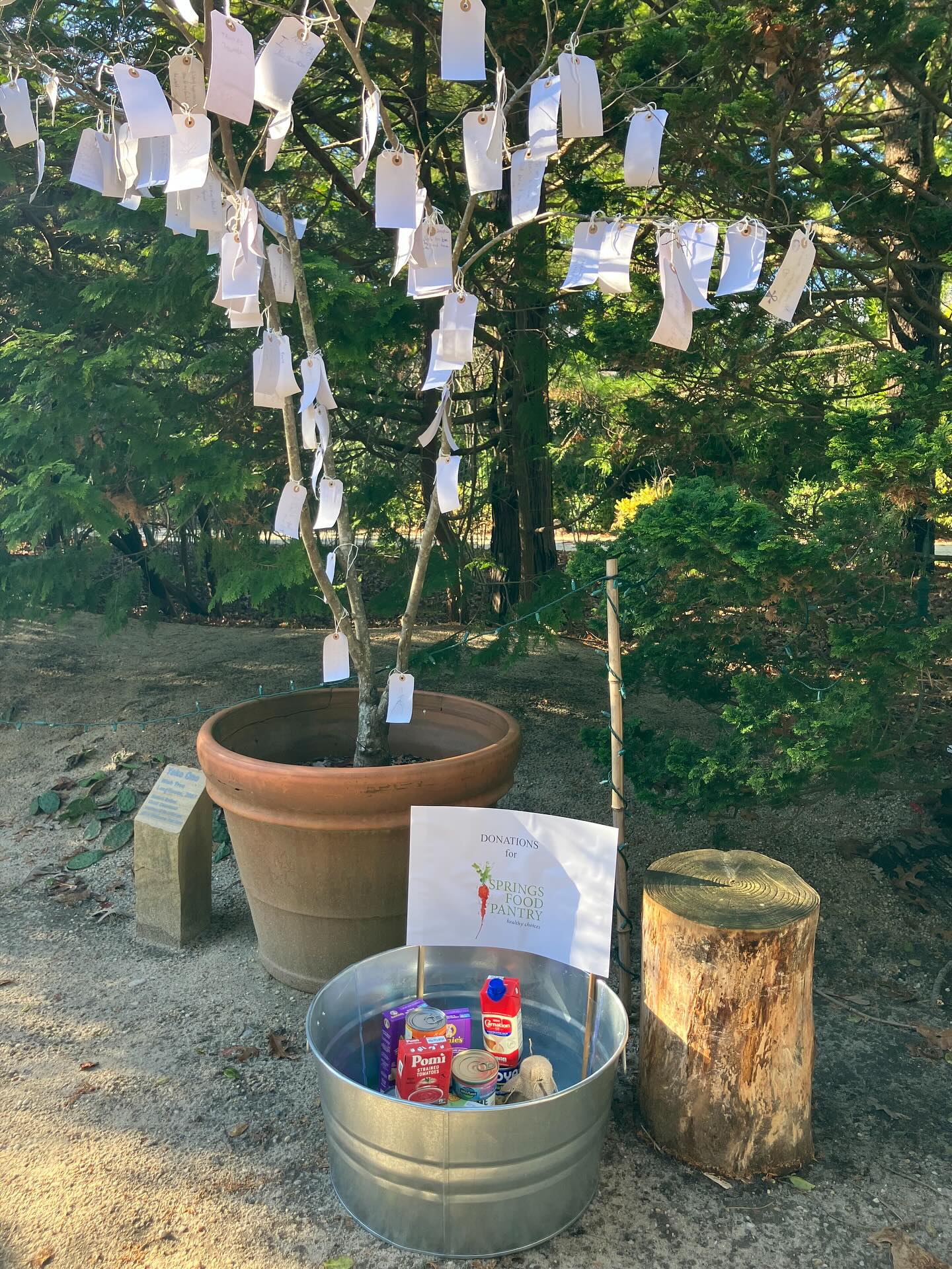 LongHouse Reserve is helping support @springsfoodpantry during the winter months. Please drop off non-perishable items during regular business hours. A collection bin, under the amazing YOKO ONO WISH TREE (pictured) is located in the entry. Drop off during regular opening days Wednesday-Sunday and Friday & Saturday nights 4:30-7:30 during LongHouse Illuminated.