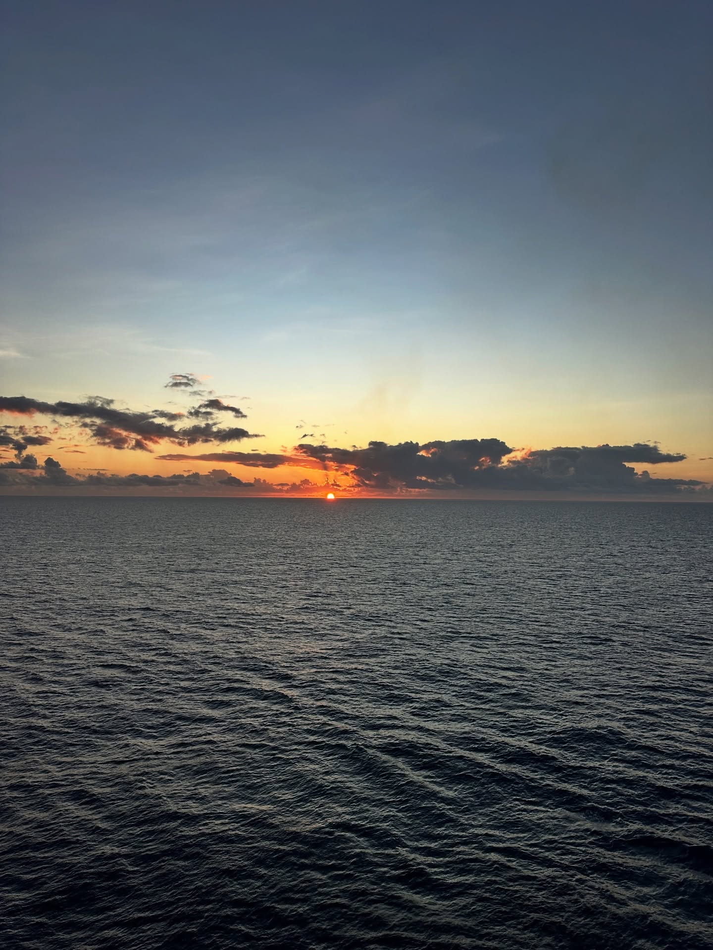 🌅 Sunrise over the open ocean hits different on Port Day #1!
This morning’s view from the ship was pure magic… and now we’re off to Cozumel, Mexico for a day at the Tulum Mayan ruins!
Your resident plant fanatic is absolutely vibrating with excitement. Ancient stonework? Yes. Stories of past civilizations? Double yes. But also—what plants were growing here centuries ago? What plants are reclaiming the ruins now? What tropical treasures will I spot creeping, climbing, and thriving in the heat?
I’m ready to explore the history, the landscape, the life, and imagine the footsteps of the past surrounded by the greenery I love. 🌿✨
Follow along—this is going to be a wild, wonder-filled day!
#TheAngryGardener #Cozumel #MayanRuins #PlantNerdOnTour #CruiseLife #PlantTravel #TropicalBotany #GardenersWhoTravel #SunriseMagic #AdventureDay #PlantObsessed #WanderAndWonder #BotanyEverywhere