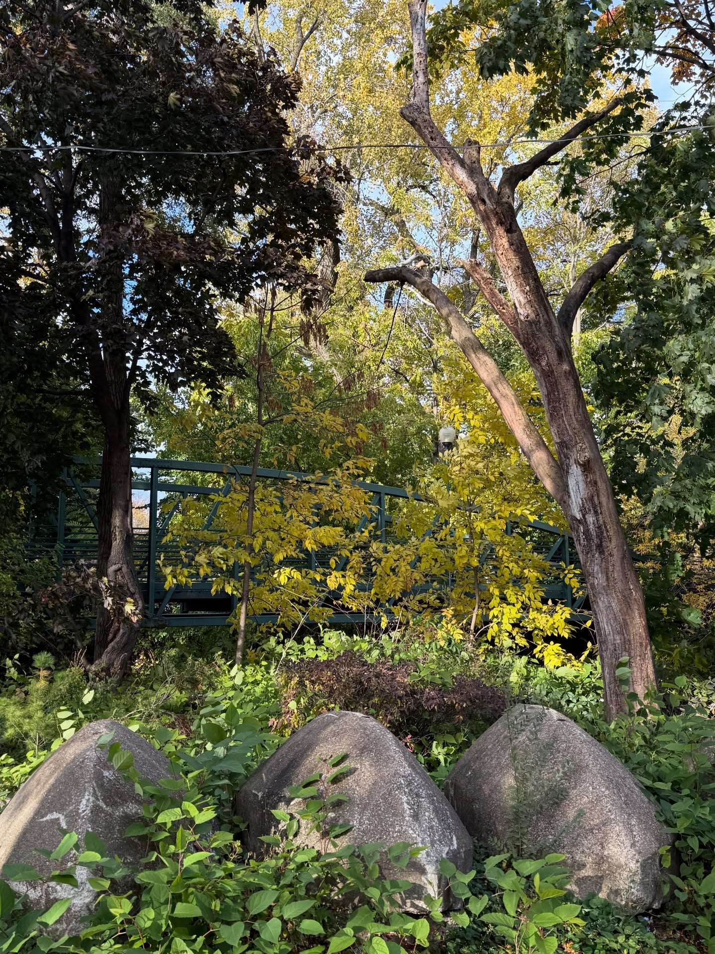 November came and went in a flash. It was filled with exploring new neighborhoods in the city with loved ones, spending time with Compass peeps that were passing through, Pilates workouts, networking and another adventure with my mom to go to NY for Thanksgiving.