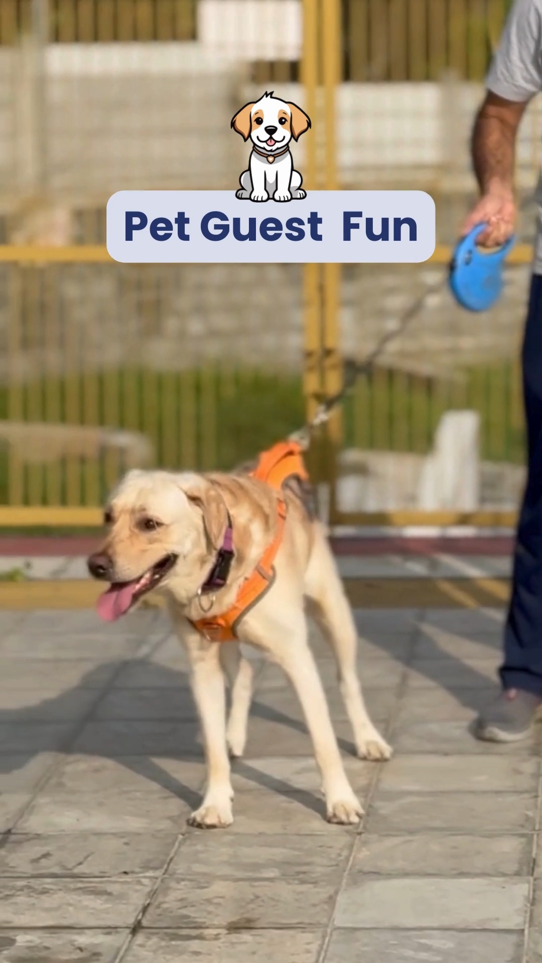 Cuteness overload alert! 💕 Say hello to our pawsome guest who had a tail-wagging good time at the retreat.
Think your pet deserves the same royal treatment? Book their stay at www.cessnapetretreat.com or call +91 7619 634627 today.
#cessnalifelineveterinaryhospital #cessnalifeline #petsoftheweek #retreatlife #furryfriendsblr #dogboardingbangalore #petholidayvibes #pawsomeguest