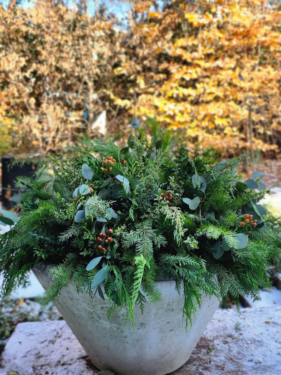 Every year we wrap up our season by creating beautiful winter planter arrangements that are completely custom to each client. They provide warmth and interest all winter long, and last right up until spring hits ๐
Wishing everyone a wonderful winter and we will see you in the spring!
#lunagardenscapes
#winterplanters
#winterurns
#winterinterest
#gardenersoftoronto
#landscapersoftoronto
#tistheseasonโ๏ธ
#hibernationmode
#womenintrades
#wintermood