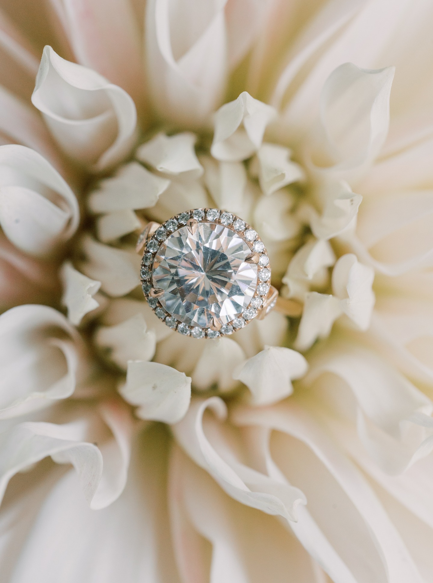 Every year, the Pantone announcement shapes the design world, but this year’s selection speaks directly to the heart of what we create at Katie Taylor Events.
@pantone 11-4201 Cloud Dancer is a
lofty, airy white neutral that brings calm, clarity, and quiet luxury—perfectly aligned with the elevated aesthetic today’s couples are craving. Its billowy softness offers a serene canvas that allows intentional design to take center stage… a philosophy we’ve woven into every wedding we plan.
In Montana’s wedding landscape—where natural beauty takes the lead—Cloud Dancer becomes the ideal bridge between timeless elegance and modern minimalism. It invites breath, balance, and thoughtful detail. And at Katie Taylor Events, that’s where we shine. 💫
As a trusted planner in the Montana marketplace, our expertise lies in:
✨ Curating cohesive design stories that elevate neutral palettes
✨ Bringing luxury-level styling to ranches, mountain vistas, and private properties
✨ Guiding couples through a refined planning experience rooted in calm, clarity, and intention
✨ Transforming serene palettes like Cloud Dancer into warm, layered, unforgettable wedding environments
We can’t wait to show couples how to bring this soft, ethereal palette into their weddings with purpose and artistry.❤️
#katietaylorevents #weddingplanner #weddingplanning #weddinginspo #weddinginspiration #weddingideas #justengaged #engaged #weddingvibes #weddingdetails #weddingjewelry #bridestyle #weddingdetails #weddingstyle #luxuryweddingplanner #modernwedding #timelesswedding #elegantwedding #intentionalwedding #modernweddingplanning #fineartwedding #romanticwedding #weddingdesign #weddingstyling #destinationwedding #montana #montanawedding