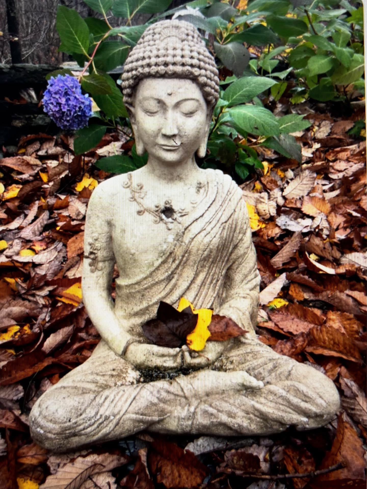 🍁 With Deep Gratitude This Thanksgiving 🍁
My heart is full as I reflect on the beauty of this community.
Thank you for welcoming sound healing and Healing Touch into your lives, your homes, and your workplaces — and for allowing me to support your rest, balance, and inner peace.
Every time you choose to slow down, breathe, and restore your nervous system, the ripple extends far beyond you — bringing more harmony into your families, workplaces, and communities. Personal healing truly supports collective healing.
I am deeply grateful for you — for your presence, your openness, and your commitment to your own well-being.
Wishing you a peaceful and nourishing Thanksgiving.
With love and gratitude,
Holly
#gratefulthankfulblessed
#SoundHealing #HealingTouch #WellnessJourney #NervousSystemReset #StressRelief #EnergyHealing #MindBodySpirit #CommunityHealing #HealingWithHollyConetta #SoundBath #RestAndRestore #PeacefulWellBeing #GreenwichCT #StamfordCT #FairfieldCounty #WestchesterCounty #GreenwichMoms #CTWellness #HudsonValleyWellness