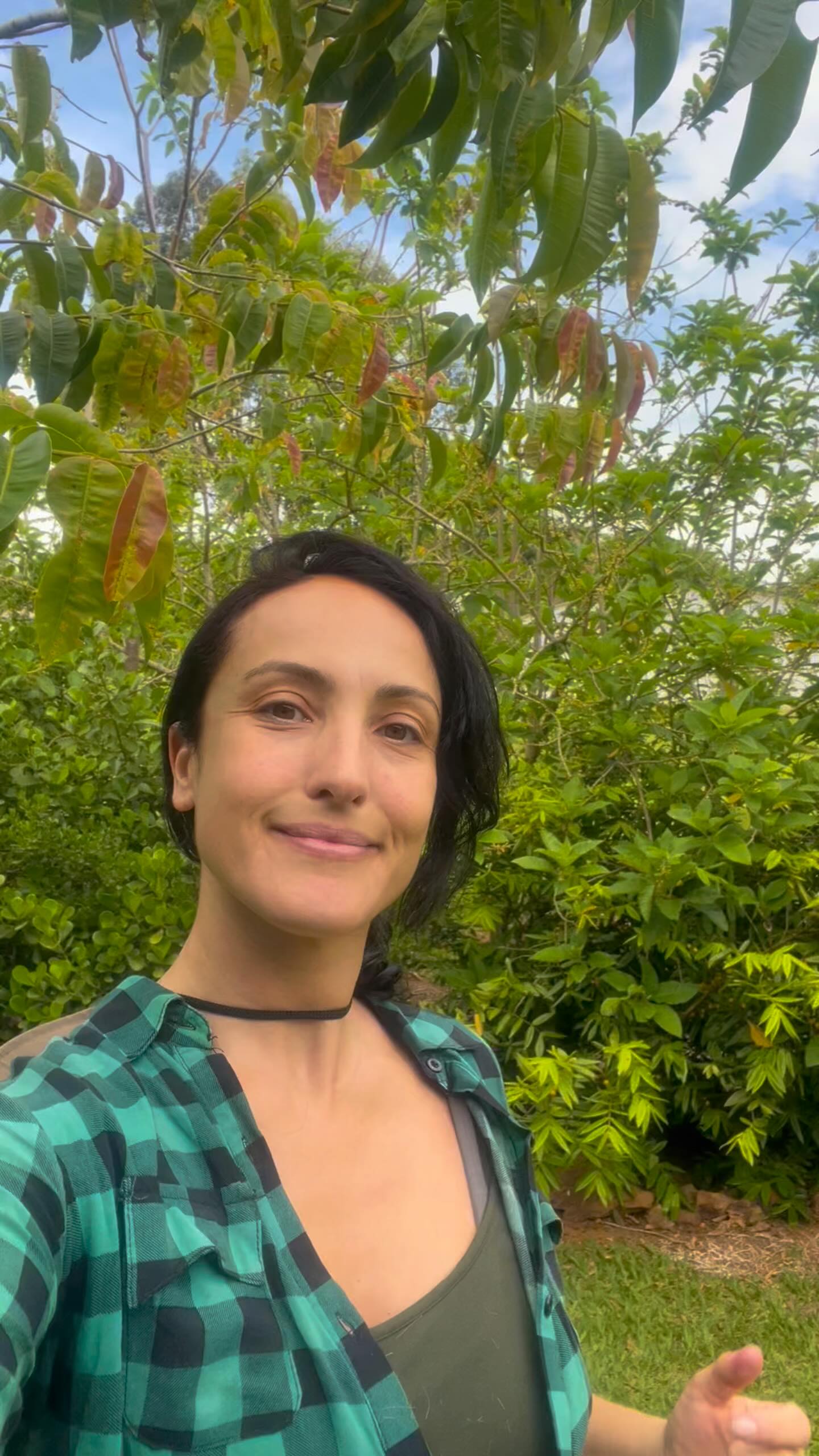 🇧🇷Neste canteiro pensado para dar privacidade aos quartos e escritório, foram escolhidas espécies de rápido crescimento e que fosse atrativa para a biodiversidade. A Cabeludinha (Myrciaria glazioviana) surpreende com seus frutos doces (comestíveis), e a Fruta do Sabiá (Acnistus arborescens) e Capororoca da Restinga (Myrsine parvifolia) atraem muitas espécies de pássaros.
.
🇬🇧In this garden area, designed to provide privacy for the bedrooms and office, fast-growing species that are attractive to biodiversity were chosen. The Cabeludinha (Myrciaria glazioviana) surprises with its sweet (edible) fruits, and the Fruta do Sabiá (Acnistus arborescens) and Capororoca da Restinga (Myrsine parvifolia) attract many species of birds.
.
#paisagismoecologico #biofilia #designbiofílico #frutasbrasileiras #plantasnativas #paisagismoregenerativo