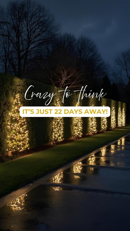 Imagine stepping outside tonight and seeing your garden come alive with warm, sparkling lights, the kind that instantly make you smile. 🎄✨
That’s the magic of the holidays, and it’s only 22 days away! 😍
🌟 From rooftops to walkways to full glittering garden displays, Loyal Exterior Cleaning handles installation, removal, and storage, so you enjoy the glow while we handle the work. 💡
✨ Book your holiday lights with us today!
💡 We only use premium lights
🏠 Perfect for both residential & commercial properties
🆓 FREE custom design consultation
🙌 We handle it all: Installation, removal, AND safe storage for next year!
📞 714-831-7146
🌐 Website link in bio
.
.
.
.
.
#loyalexteriorcleaning #pressurewashing #windowcleaning #roofcleaning #solarcleaning #softwashing #windowscreen #powerwashing #cleaningservices #buildingwash #christmaslights #residentialcleaning #commercialbuilding #luxuryhomes #socalrealestate #cleaningcompany #socal #losangeles #orangecountyca #socalhomes #propertymanagement #realestate #propertymanagers #realtor #exteriorcleaning