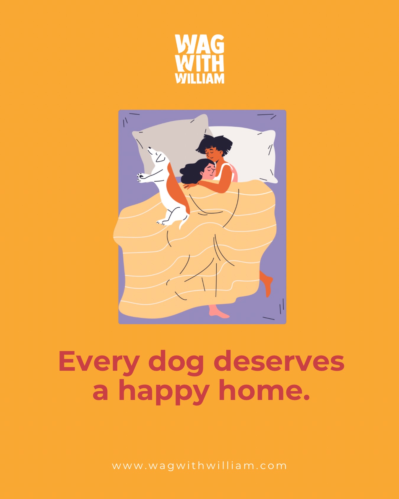 Every dog deserves a home filled with love, safety, and soft places to rest.๐พ #WagWithWilliam #FearFreeTraining #PositiveReinforcement