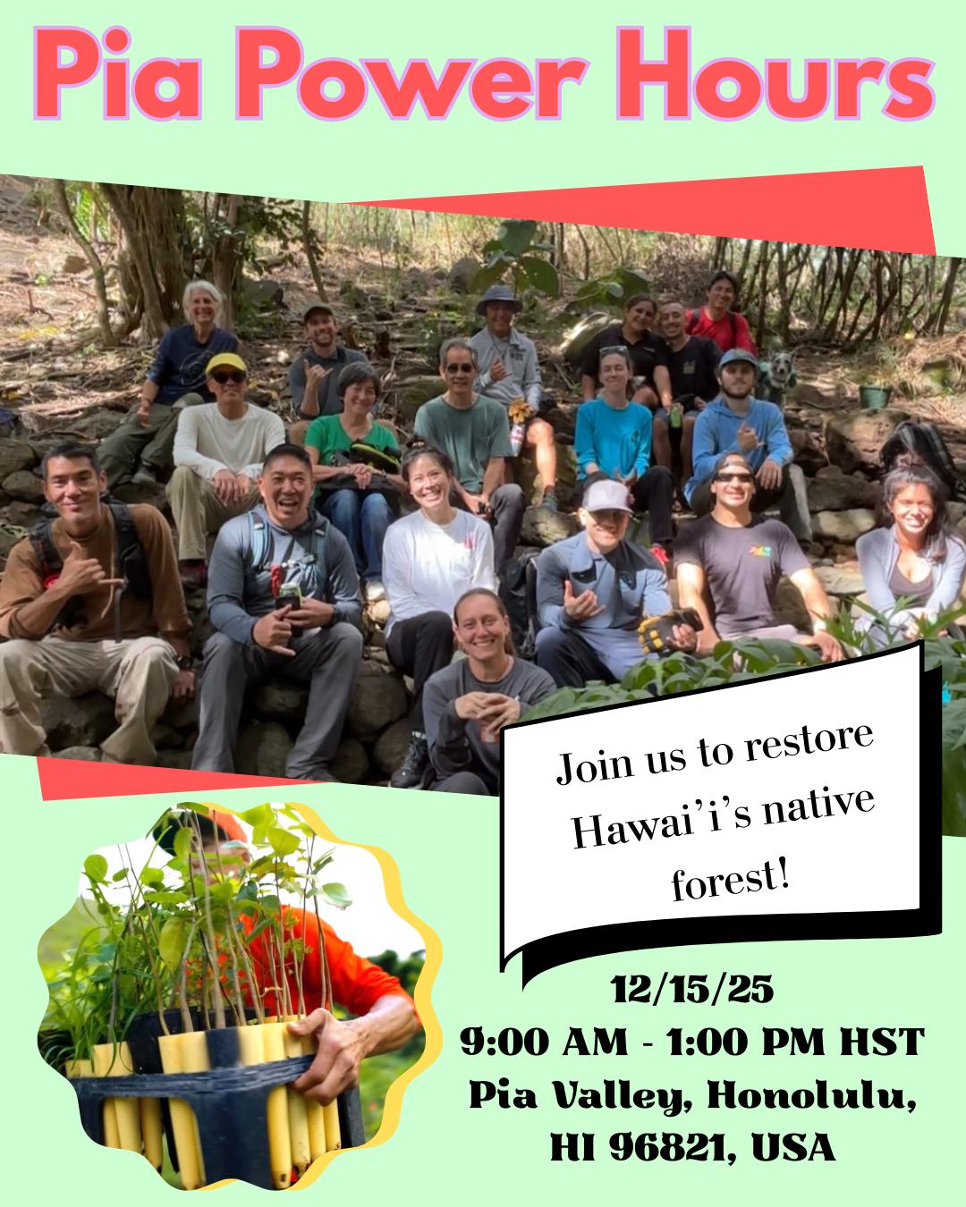 Join us for Pia Power Hours!
This is your chance to participate in conservation efforts alongside our Conservation Manager, Chris Wong. Don't miss out on this opportunity to learn and make an impact!
Monday, Dec 15, 2025, 9:00 AM – 1:00 PM HST
Pia Valley, Honolulu, HI 96821, USA
(Meet us in the cul de sac at the end of Anolani St)
Learn more: https://wix.to/hVZx9Bq
#piapowerhours #hawaii #nativeforest #volunteer #conservation #rsvp