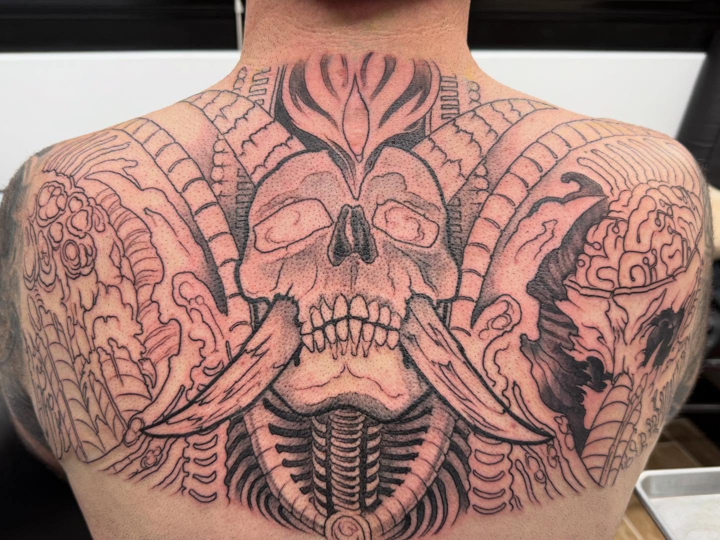 Honored to start this fun project this week! Hope y’all enjoy as much as the client and I do…