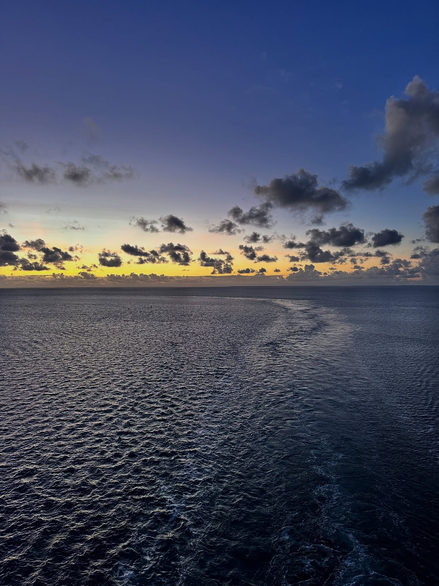 Woke up to a cloudy Belize sunrise for our 3rd cruise port, and honestly… it feels exactly right for our final round of Mayan ruins and jungle wandering. 🌥️🌿
Today we head to Xunantunich, ready to climb temple steps, explore ancient stories, and—let’s be honest—see what plants are hiding in the jungle that I absolutely need to stop and inspect. 😆🌱
High hopes, big expectations, early start… let’s see what Belize has in store!
History, jungle vibes, and maybe even a begonia sighting? A plant fanatic can dream. 🌿✨
Stay tuned!
—The Angry Gardener
#Belize #Xunantunich #CruiseLife #JungleAdventures #PlantFanatic #HistoryNerd #MayanRuins #CloudySunrise #AdventureDay #TheAngryGardener