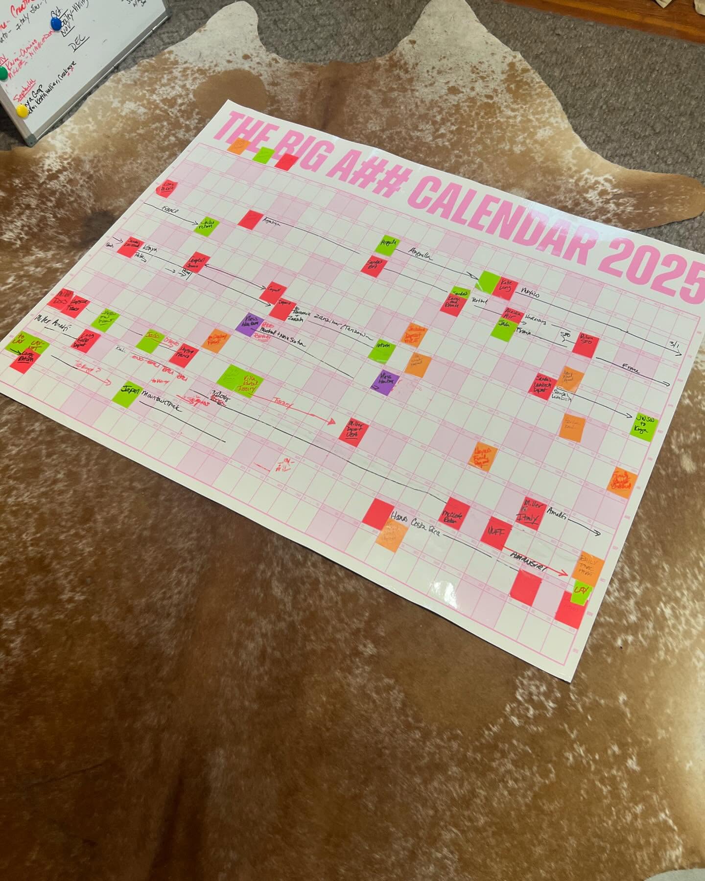 And that’s a wrap on my 2025 luxe client trips. Even though I have a digital workflow, it helps me to see it all on the wall. Thank you @jesseitzler for this incredible calender. 2026 bookings have already exceeded 2025! Cheers to my 2026 @bigasscalendars