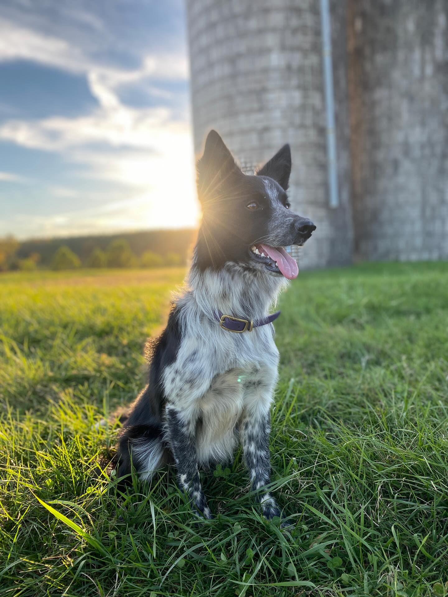 Remember when it was warm and light out?! Well…we still do lessons in the cold, in case everyone is wondering! And then warm up by the fire straight after! Stay cozy!