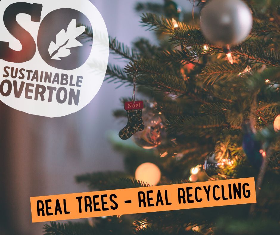 Got a real Christmas tree? When the celebrations are over, don’t bin it — recycle it!
🎄 Basingstoke & Deane Council will announce collection details soon, or you can drop your tree at designated collection points in early January.
Your tree will be chipped and turned into compost — giving back to the earth instead of landfill.
🎄Remember, if you have an artificial tree, the most sustainable thing you can do is to keep using it year after year after year.
Let’s make sure every tree has a second life 🌱
#GreenChristmas #TreeRecycling #SustainableOverton