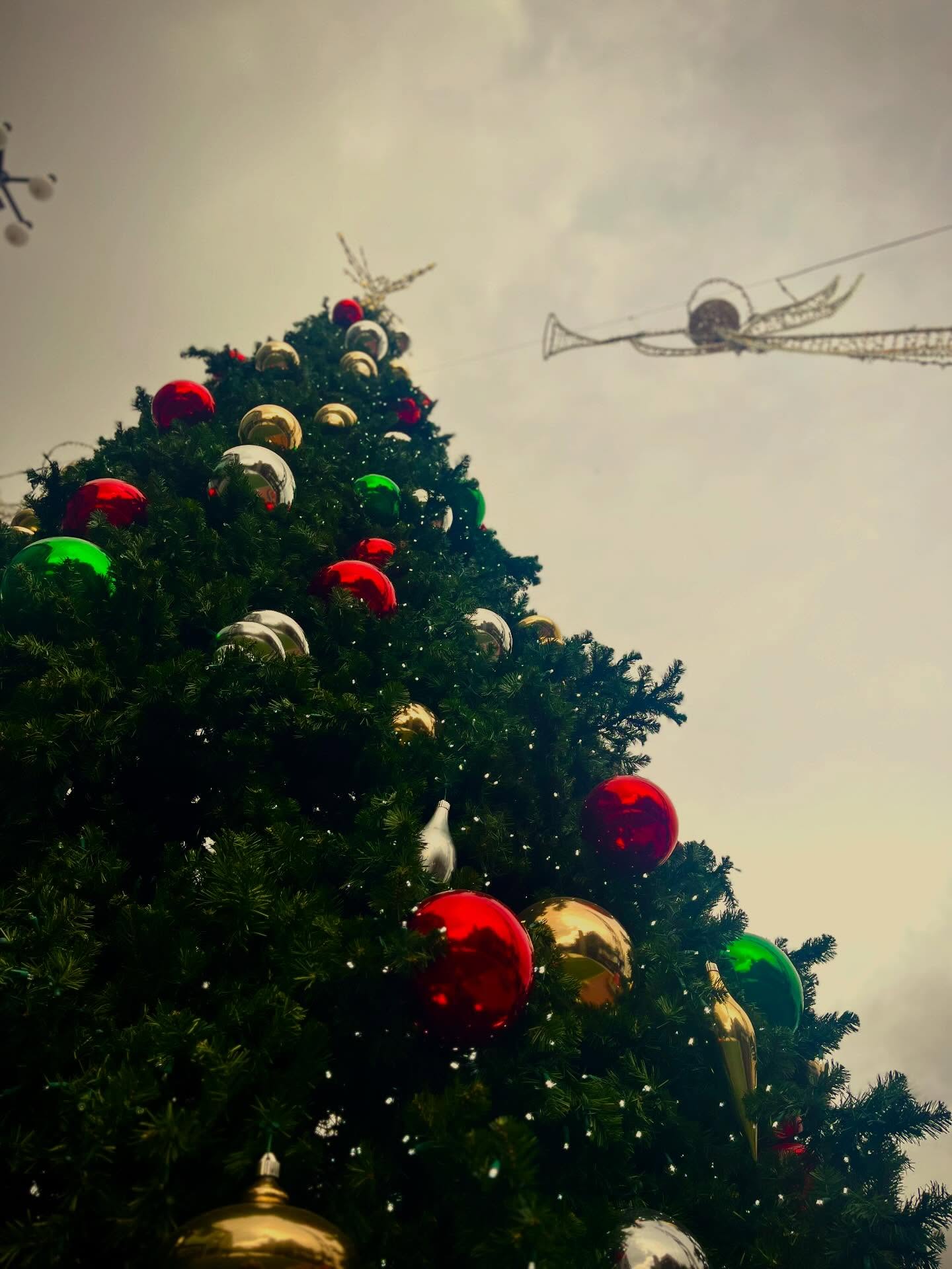 The Christmas tour’25 makes a pit stop in #savannah #christmasinthesouth