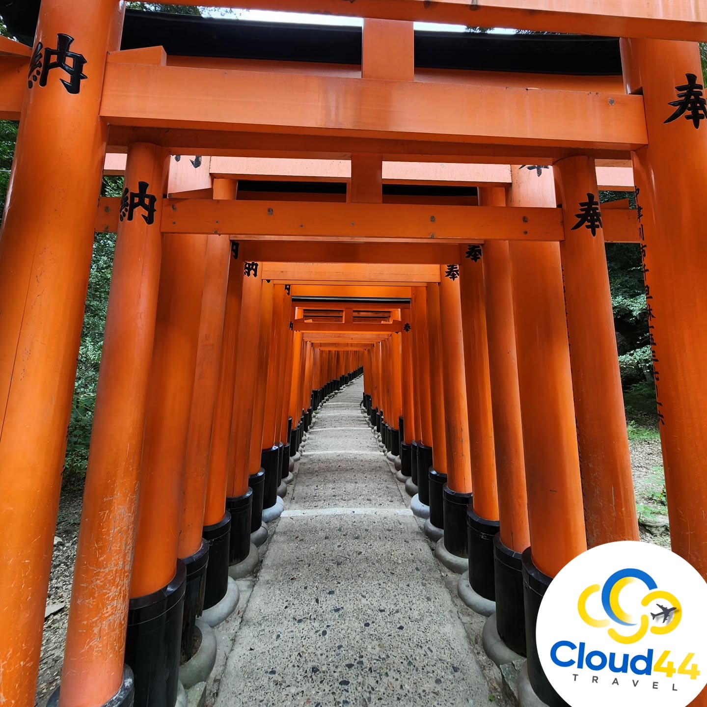 Kioto, Japan...Explore the world with us!
#cloud44travel #traveladvisor #viajeros #traveladdict #traveler #kioto #tori #japan #japon