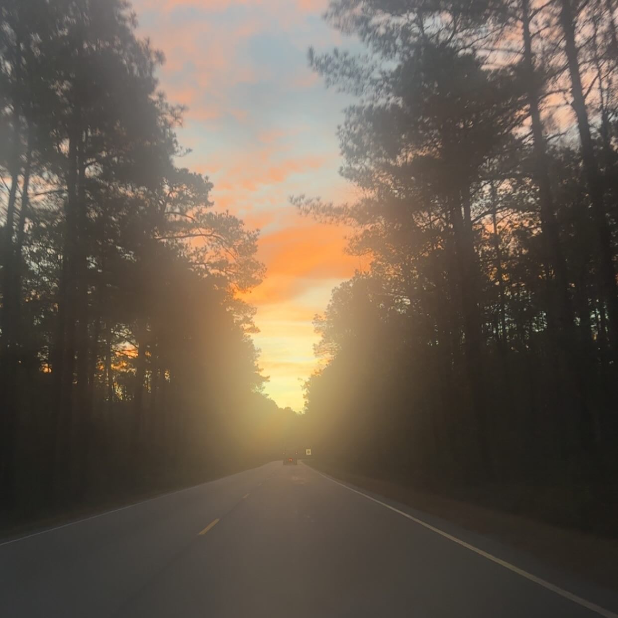 Recent sunsets/sunrises I’ve captured. God does this every day and I’m still in awe. Fun fact: if someone stole my phone, 87% of my camera roll would be sky. 🤷🏽♀️😂
#sunrise #sunset #GodsBeauty #reflection #goldenhour #peacefulviews