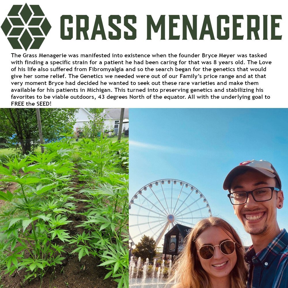 Zoom to read! Or visit my website in my bio and click “about our breeder” for a more IN DEPTH story on the GENESIS of this seed bank!