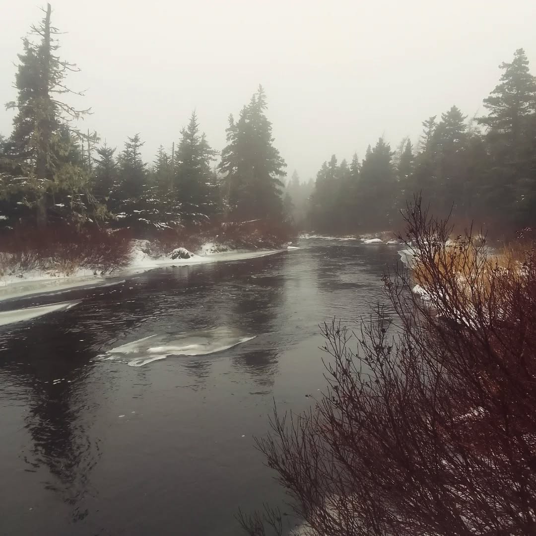 Let it melt. 🤍🩵🫶