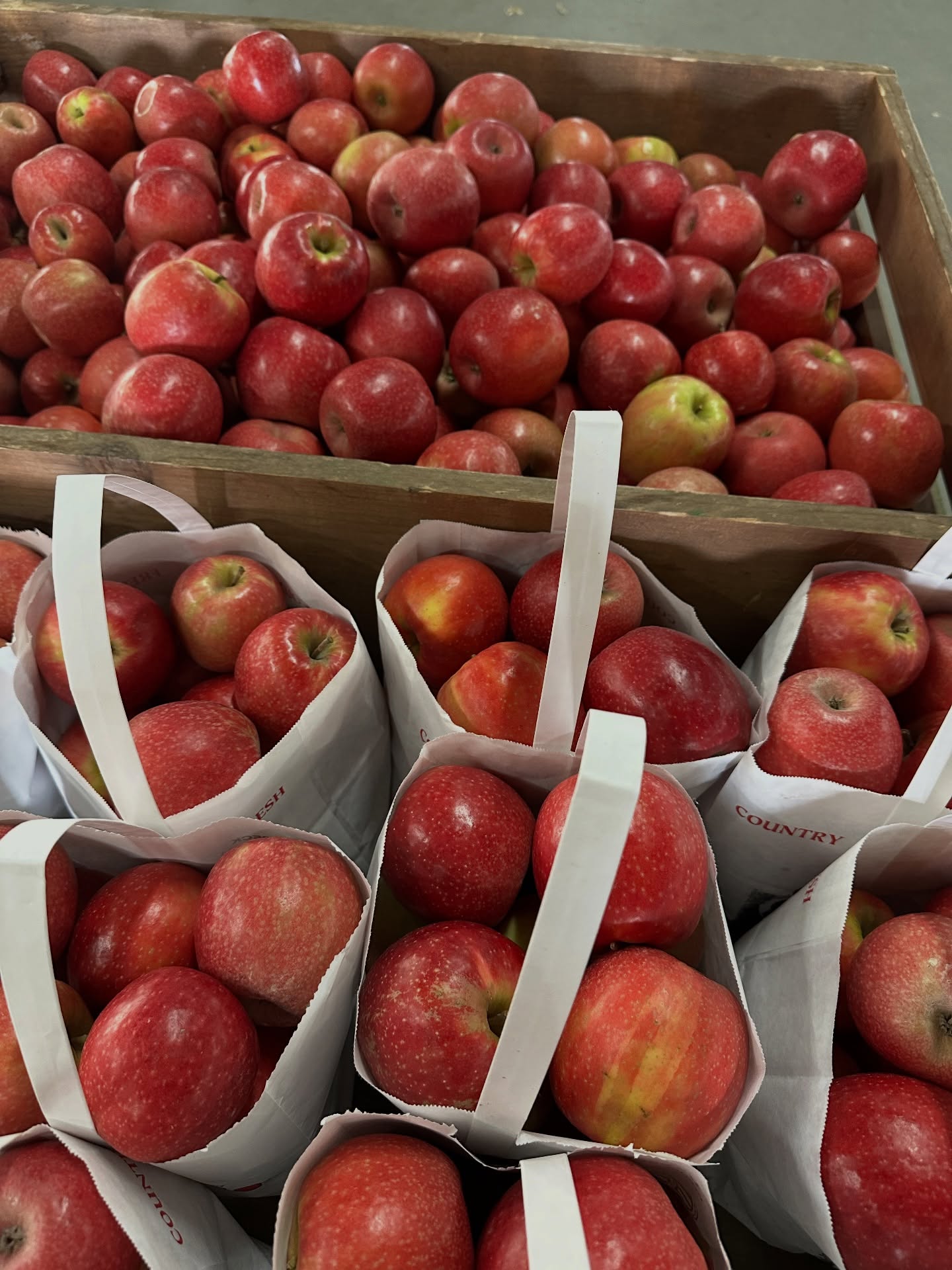🍎✨ It’s the last week of our 2025 season! ✨🍎
Out-of-town guests? Craving your favorite orchard treats before we close until 2026? Now’s the time! We’re open daily 9–5 through Sunday, 11/30. Closed Thanksgiving Day. 🦃
Swing by and enjoy the season’s final days! 🍎💛🍁
