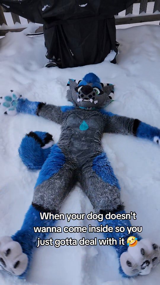 Always in the winter too 🥶
#furry #furryfandom #furries #fursuit #fursuithead #furrytiktok #relatable #winter #fursuiter #fursona #fypage