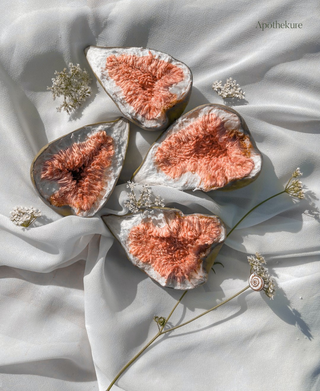 If you're looking for a gentle way to cleanse and detoxify your body, try adding figs to your diet! 🤗🤗 Figs have cooling properties that help to restore the stomach, lungs, and large intestines. Plus, they're known to be a remedy for chronic dry cough and can help with colon issues. ✅
Follow @apothekure for your dose of wellness.
.
.
.
.
.
#naturallyrestorative #figuredetox #eatfigsforthewin
#mindbodyhealing #natureshealing #naturalhealingremedies #naturalremedieswork #naturalrelief #holisticremedies #healthyisalifestyle #healthyfacts #bodycleanse #healingnaturally #livenaturally #planthealing #healnaturally #holistichealer #plantsheal #healthysoul #holisticlife #betterhealth #naturalcures #healthylifehappylife #naturalremedy #healthymindset