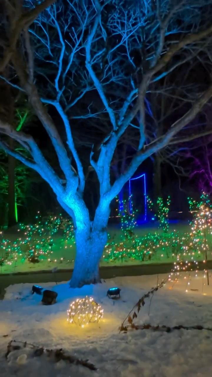 Our company had a great time at the New England Botanic Garden’s Night Lights! We have pruned several of the trees there, and it was amazing to see them lit up. 🎄
Families came along, and we all enjoyed the beautifully decorated trees, sparkling displays, tasty food, and plenty of hot chocolate. It was a fun, festive night with lots of good memories!