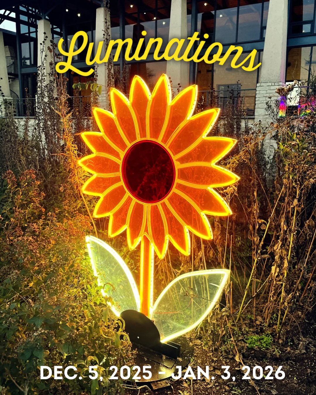 The Bloominations have woken up for winter — glowing in the gardens like curious creatures of light. Come find them tucked among the trails all season long!