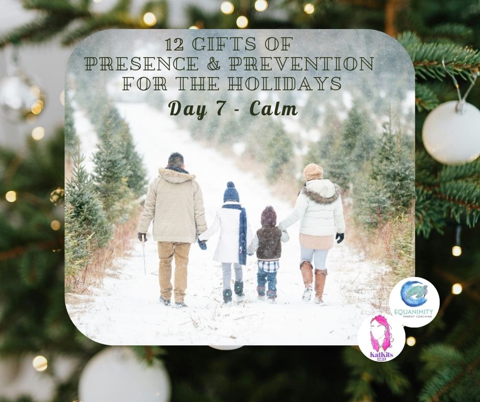 Your calm is your child’s anchor.
When you regulate your nervous system, you help them find theirs.
Support and practical tools are available through EquanimityParentCoaching.com and KatKits.org to help families stay grounded, connected, and prepared. Learn more here: https://wix.to/9RqkXGR
#12DaysofPresence #PresenceIsPrevention #EquanimityParentCoaching #KatKits #NervousSystemRegulation #CalmParent #ParentingTeens #ParentingYoungAdults #FamilyConnection #PreparedFamilies #FamilyRecovery
#EvidenceBasedParenting