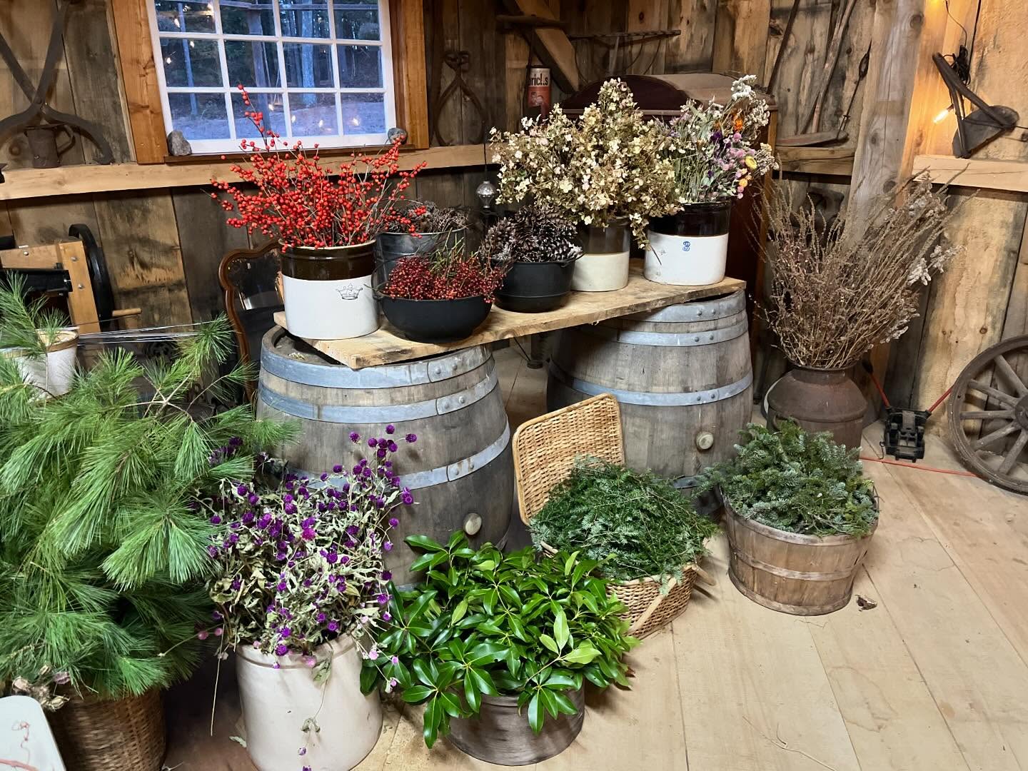 Thanks again to everyone who came out for our wreath workshop!! It was so fun seeing how different everyone wreaths came out! All unique and beautiful in their own way.
I’m so grateful for everyone who has come out for our workshops this year. It’s been such a fun experience being able to share a little piece of our farm with you all. As much as I’ve enjoyed the art of creating the workshops my favorite part has been the people. With our farm-stand being self serve I don’t always get to meet the people who stop by so, it’s been really nice being able to connect with the people who have been following our journey for a while. Every group has been full of smiles and warm energy. I feel incredibly lucky to have the people who show up for me and the farm.
♥️