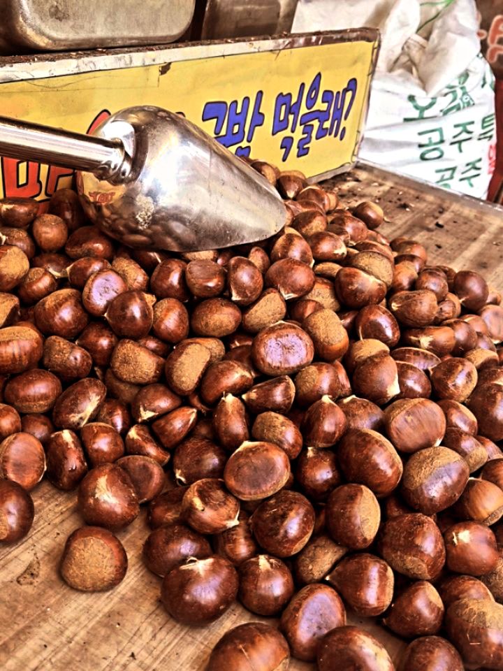 🌰🇰🇷 The Ultimate Korean Winter Comfort! 🔥
While exploring the streets today, we couldn't resist the smell of fresh Gun-bam (군밤, Roasted Chestnuts)!
In Korea, enjoying these simple, hot snacks from street vendors is a beloved local tradition, especially during the colder months. Although we went for the chestnuts today (just look at that sweet, golden inside!), you often find stalls offering Gun-goguma (군고구마, Roasted Sweet Potatoes) right alongside them.
It's these easy, heartwarming local customs that make experiencing winter in Korea so special. Such a satisfying way to warm up!
What's your favorite local comfort food? Share your pick!