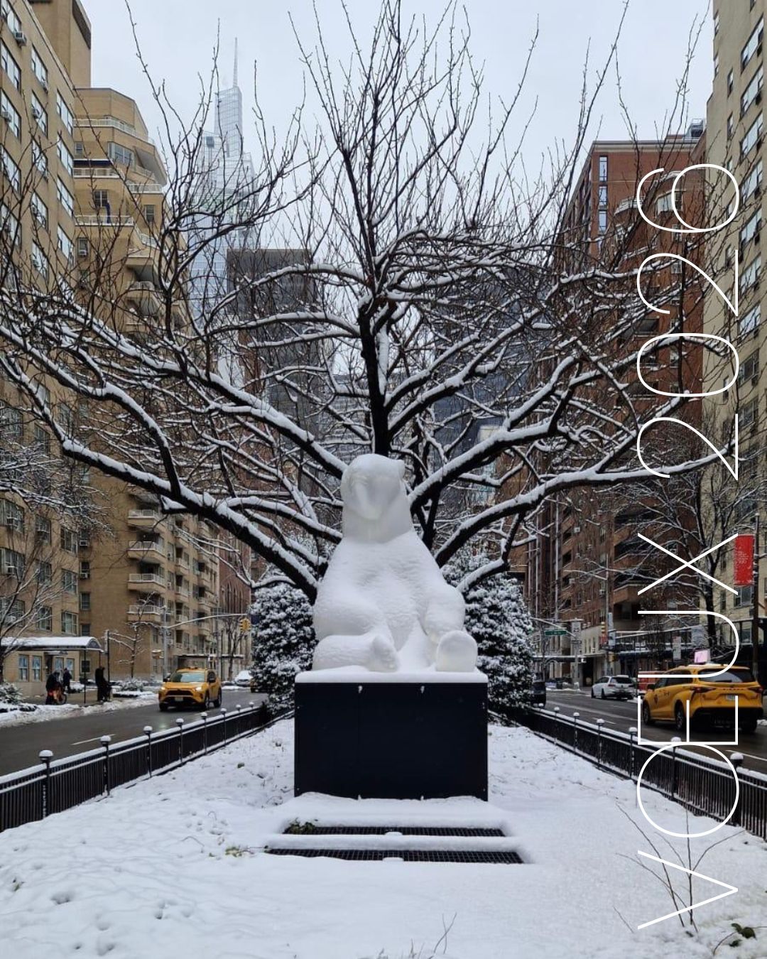 Meilleurs vœux pour cette nouvelle année 2026 !
Partons à la découverte de la beauté du vivant, à travers l’art et la contemplation.
Merci d’accompagner Michel BASSOMPIERRE dans ses créations.
#michelbassompierre #sculptureoftheday #exposition #newyorknewyork #exhibitions