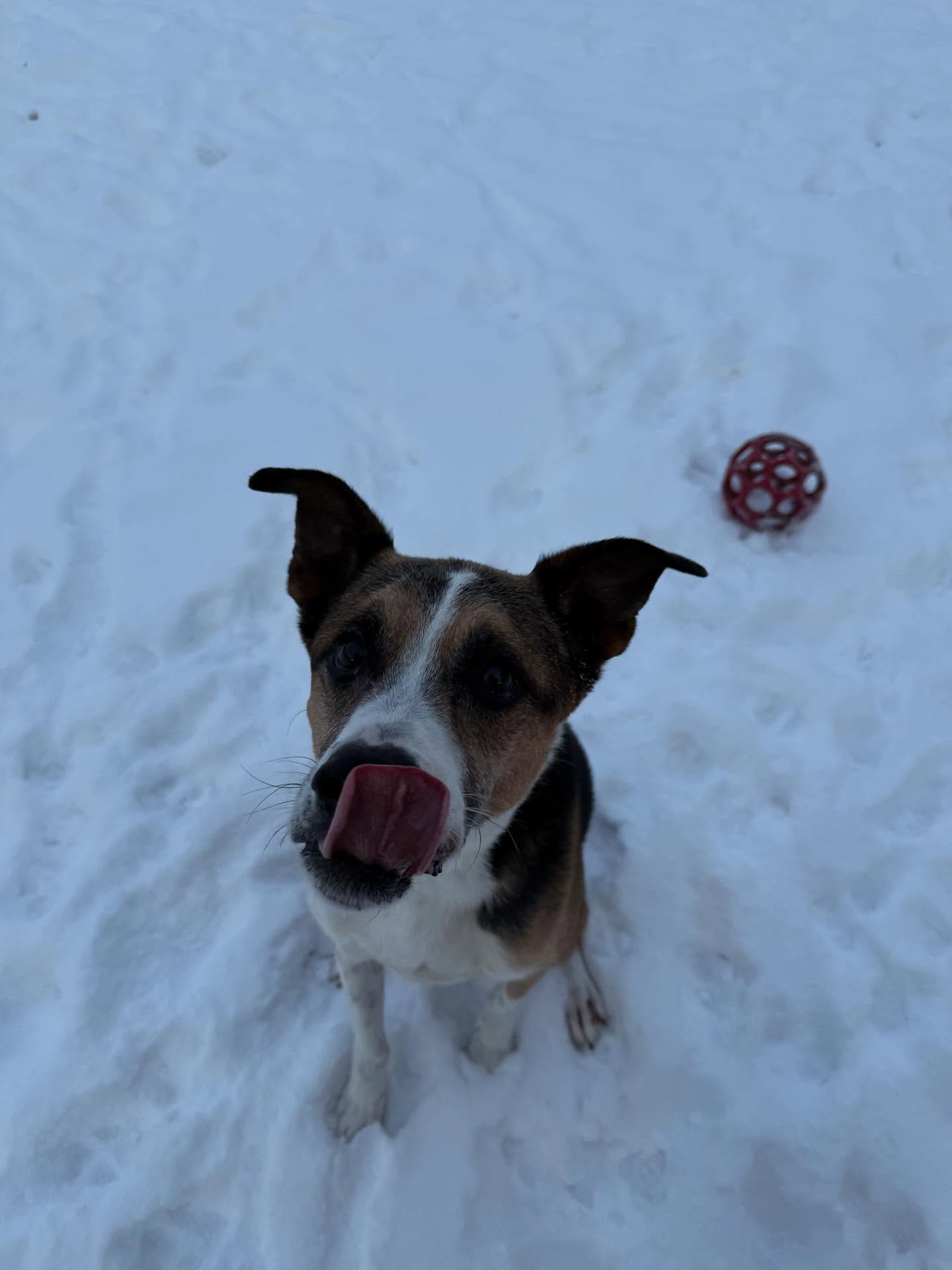 Happy Monday from our daycare krew!❄️