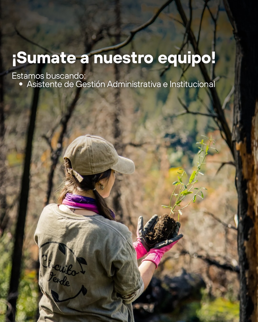 BÚSQUEDA CERRADA 🧡🙏🏼 —————— ¡Sumate a nuestro equipo! 💚
Estamos buscando: Asistente de Gestión Administrativa e Institucional
El objetivo principal del puesto es garantizar el funcionamiento administrativo, institucional y comunicacional de Circuito Verde, mediante una gestión ordenada, proactiva y confiable. Su rol contribuirá a una operación interna eficiente, una relación fluida con los actores clave y una comunicación clara y coherente que fortalezca la imagen institucional.
Si te entusiasma formar parte de un equipo dinámico, joven y comprometido, donde el diálogo, la buena onda y el sentido de pertenencia son parte de cada proyecto, te invitamos a enviarnos tu CV y una breve presentación contando por qué te gustaría unirte.
Podes acceder a toda la información en el PDF de la búsqueda: está en el QR en el posteo o en este link: https://drive.google.com/file/d/1tycvMGP6mblSsjsB0cFHSfg2tDmsMWr4/view?usp=sharing
✉️ ¡Esperamos tu postulación en hrintegrar@gmail.com, referencia: Circuito-verde!