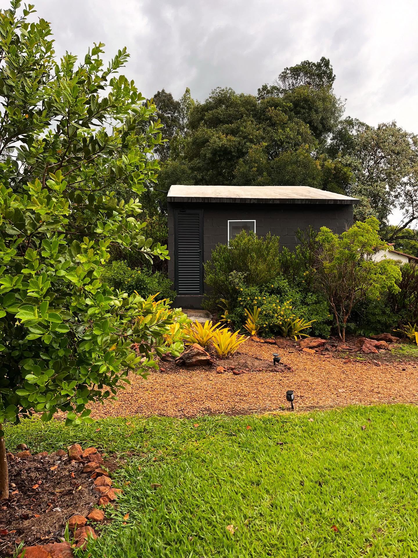 🇧🇷Camadas de vegetação. A ideia é disfarçar esta construção de área técnica, com plantas de diferentes alturas e volumes. Na frente, um Araçá Amarelo, atrás um jogo de cores com a Ameixa da Mata, triális e bromélia porto seguro (e otras cositas más 😄)
.
🇬🇧Layers of vegetation. The idea is to disguise this technical area structure with plants of different heights and volumes. In the front, a Yellow Araçá tree, behind it a play of colors with the Wild Plum, Triallis, and Porto Seguro bromeliad (and other little things 😄).
.
#paisagismo #paisagismoresidencial #jardimdecasa #jardimfuncional #paisagismoecologico