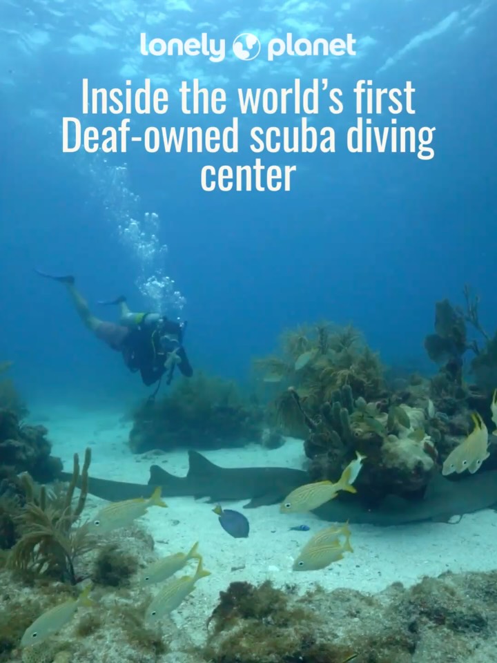 This is one of my favorite stories that I’ve written this year, because it’s all about how travel can be a force for good.
Whether you are scuba diving in the water or breaking barriers on land, we are all stronger with a community by our side.
Read the story on @lonelyplanet, link in bio! And thank you to @nyledimarco and @aquahands for letting me share your story 💙🌊
(Videos are courtesy of Rose Moore)