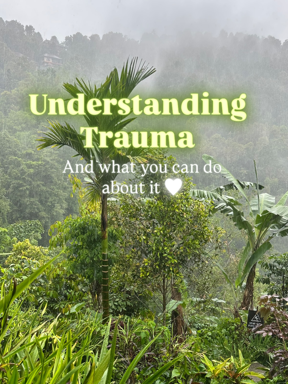 I share this information to help you.
If reading this creates a visceral reaction in your body, I encourage you to really feel into it. When you think about the pain in your body, what emotion are you feeling?
We are often looking for triggers because this is the body’s natural response to wanting to release the energy and emotion from inside the body. It’s triggering you so you can actually look at it and not suppress or bypass it. It’s begging you to stop ignoring it.
Start small. Be gentle to yourself on the journey. The world has already beat you up enough. Please give yourself the love that you give to everyone else.
🤍🤍🤍
#healing #trauma #somatichealing #therapy