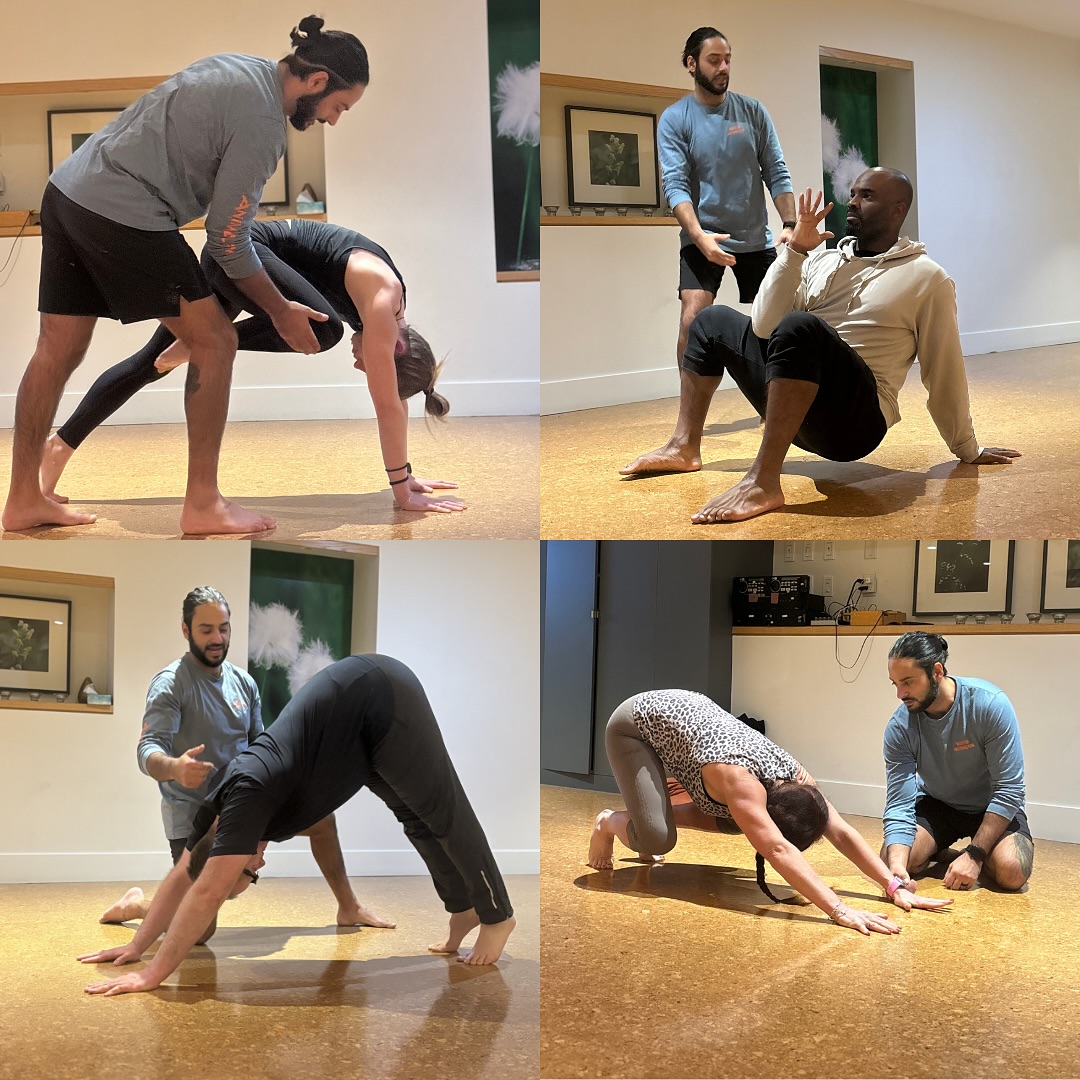 Animal Flow Calgary - Level 1 Workshop at The ACADEMY!
#yycfitness #yycfit #yycfitfam #calgaryfitness #calgaryfit