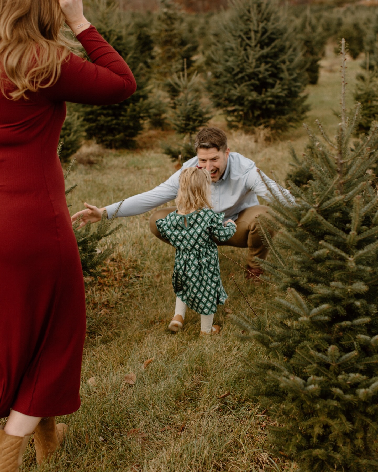 Tis’ the season 🌲✨