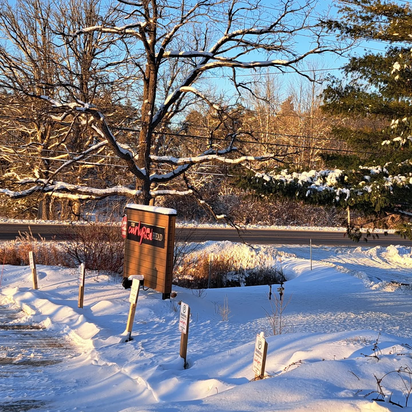 Mother nature is Christmas ready on this beautiful sunny day 🎄