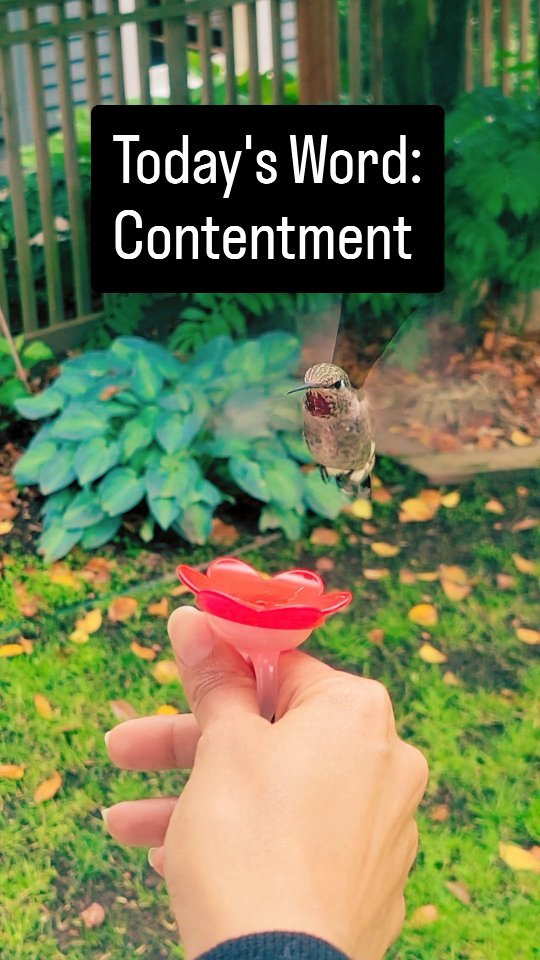 Today’s Word: Contentment
We’re living in a fast-paced world that constantly pulls us toward what’s next — more to do, more to want, more to consume.
And yet, both mindfulness and science keep pointing to the same thing: we don’t find ease through more, but through moments that feel safe enough in the present.
What if, just for this moment, you didn’t need anything more — and simply let yourself feel content?
If you’re craving a grounded way to close the year and begin the next, join us on January 11 for Move Into Stillness.
✨ Link in bio.