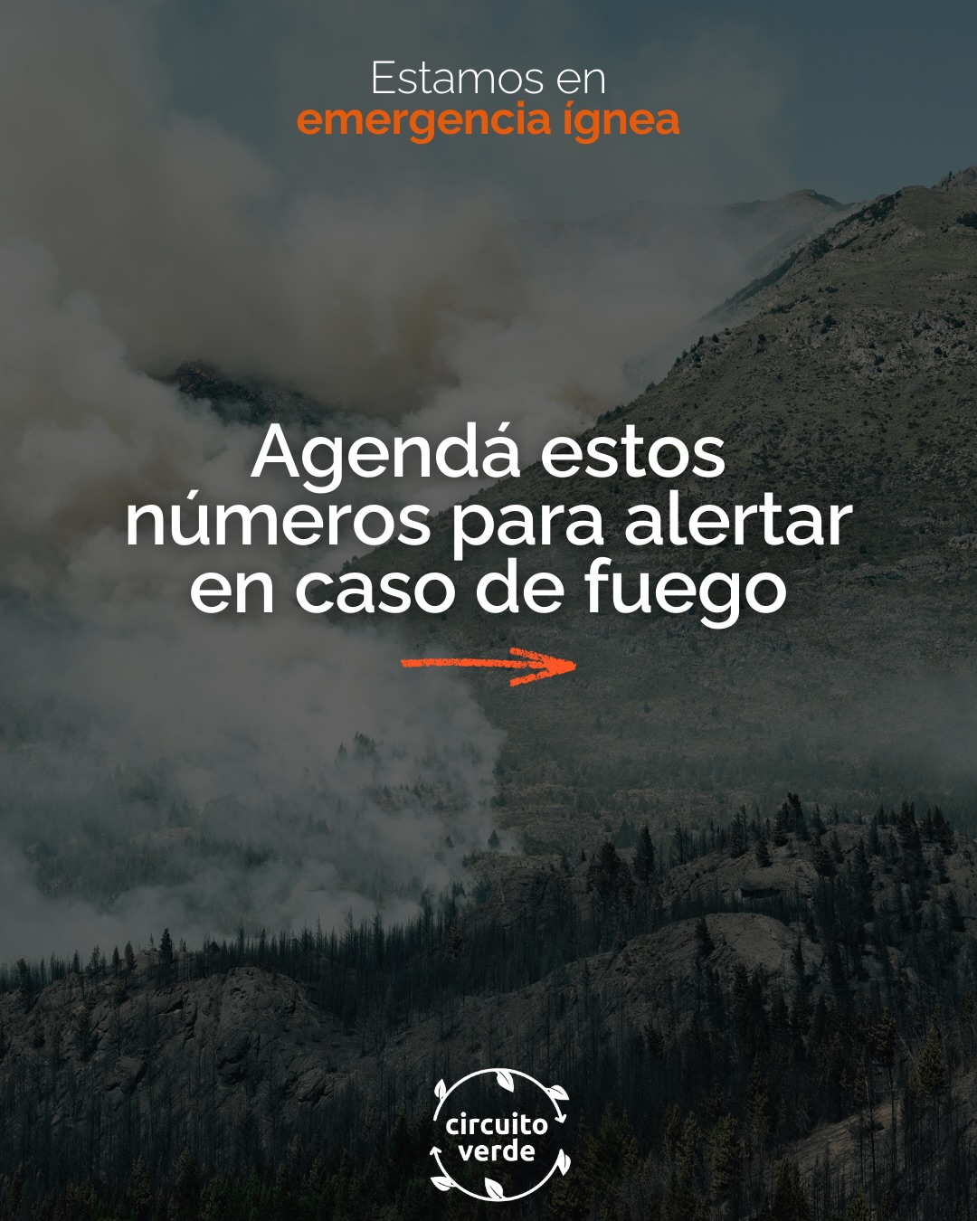☎️⚠️ Agendá los números de emergencia y alertá en caso de humo/fuego
Dar una alerta temprana es clave para evitar que un foco se convierta en un gran incendio
⚠️ Compartí los teléfonos con tus vecinos, familiares y conocidos
SIEMPRE informarse sobre los operativos y pedidos a través de los canales oficiales de las instituciones a cargo:
@ice.nahuel.huapi.ok @splifrionegro @elbolsonsplif
📷 fotos: @branko_zuniga