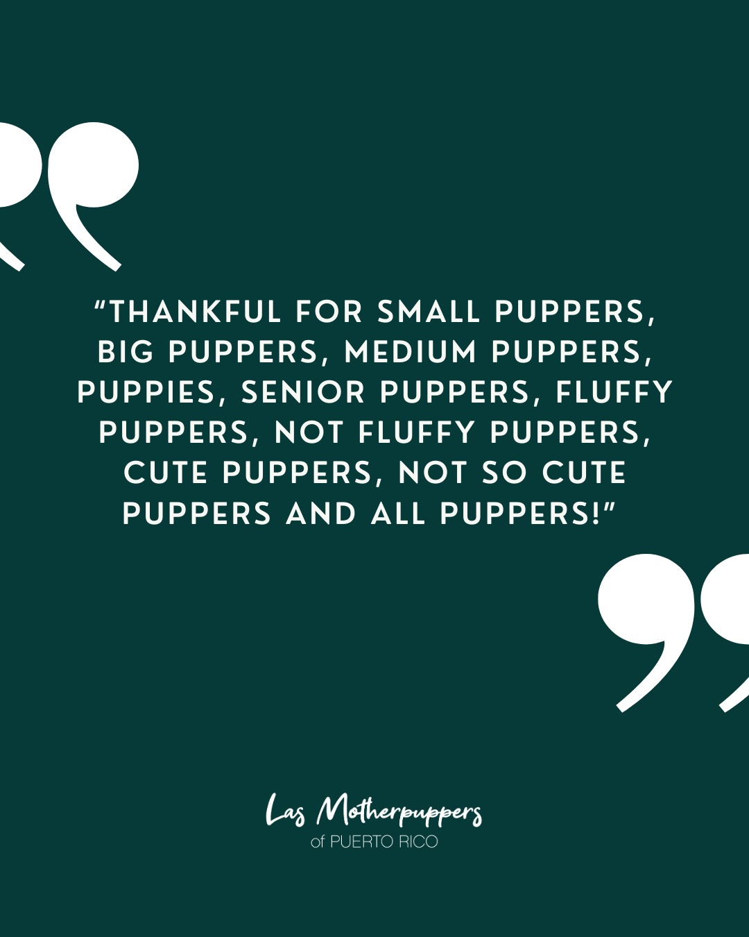 Happy Thanksgiving Motherpuppers! 🧡🐾🦃
Estamos sumamente agradecidas por esta comunidad de #dogmoms y todos los puppers que hemos conocidos.
¡Por más dog mom walks juntas en el 2026!
#dogmomsofpr #lasmotherpuppers #puertorico #dogmomclub #dogmomblog #dogmomquotes #dogsofpuertorico #perrosdepuertorico #dogmomsofinstagram #thanksgiving