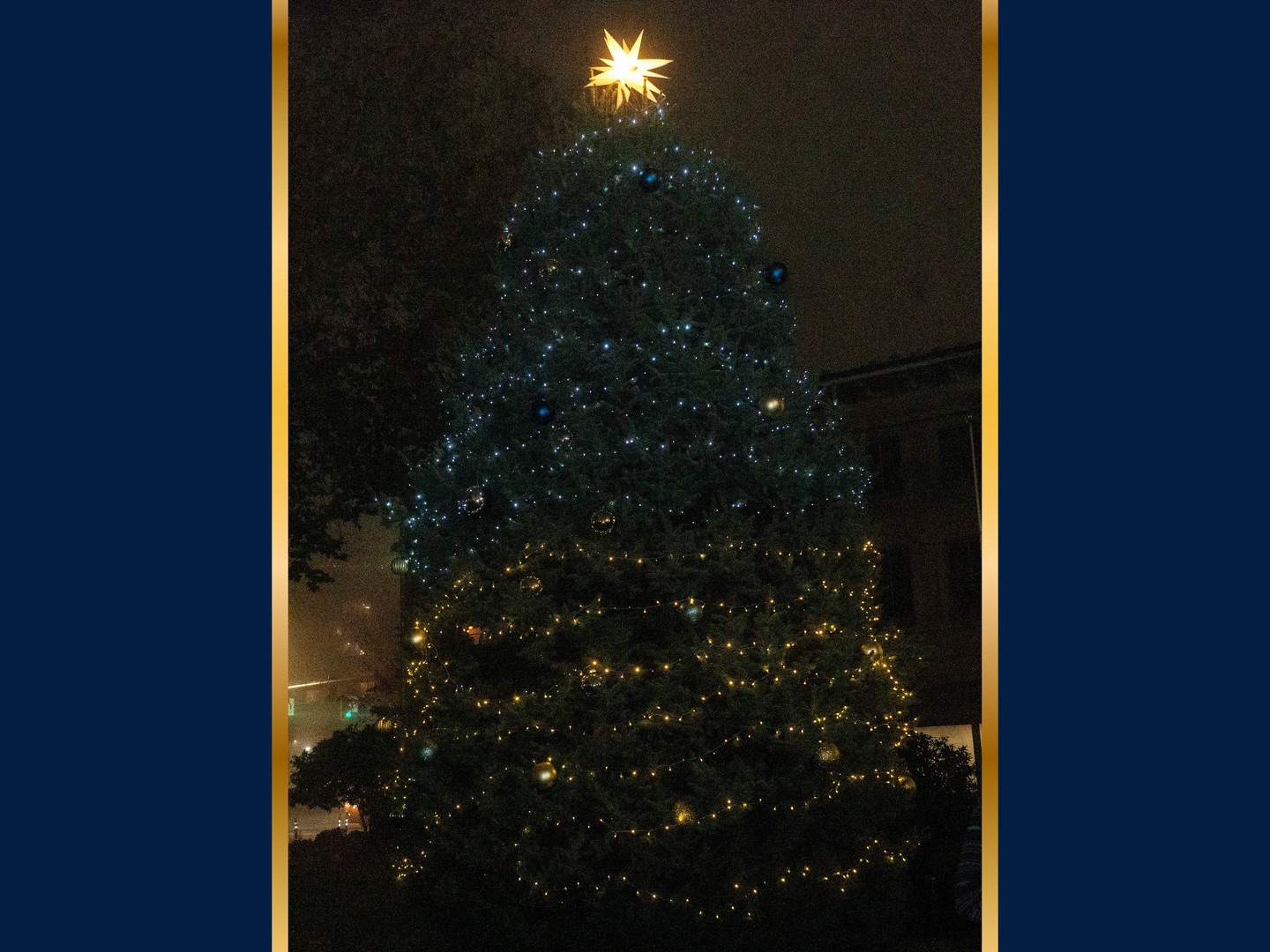 Loving the look back at the coco, worship, and community at this year’s Christmas Tree Lighting! 🎄